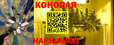 шишки Краснознаменск