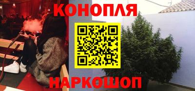 шишки Краснознаменск